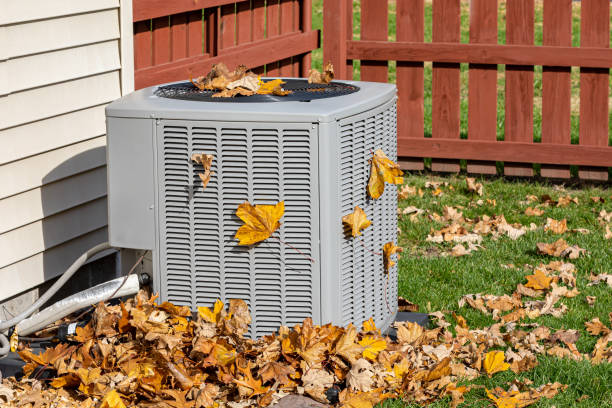 Best HVAC companies near me  in Mount Jackson, VA
