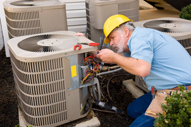 Best HVAC air duct cleaning  in Mount Jackson, VA